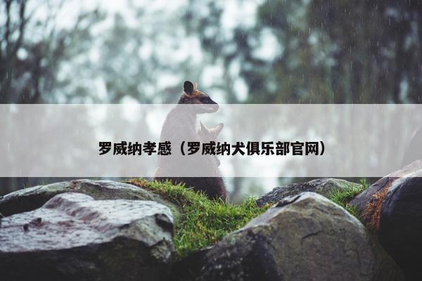 罗威纳孝感（罗威纳犬俱乐部官网）