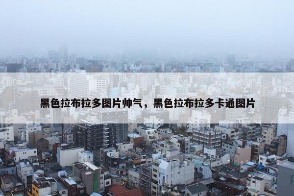 黑色拉布拉多图片帅气，黑色拉布拉多卡通图片