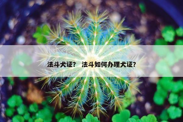 法斗犬证？ 法斗如何办理犬证？