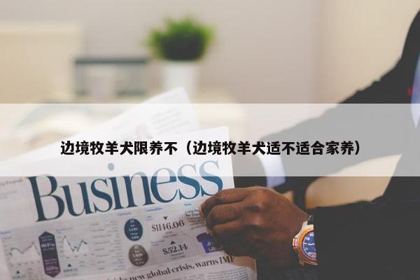 边境牧羊犬限养不（边境牧羊犬适不适合家养）
