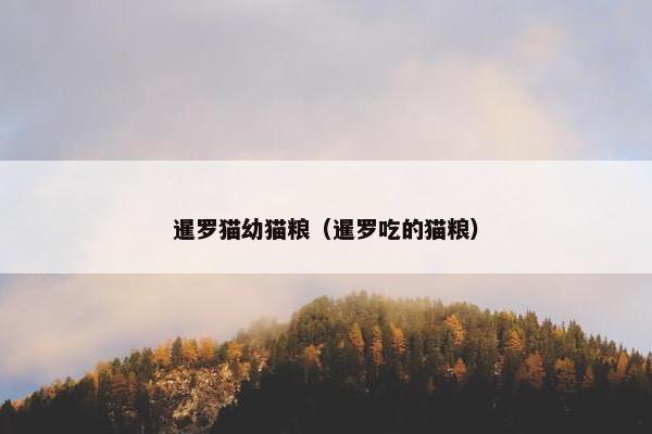 暹罗猫幼猫粮（暹罗吃的猫粮）