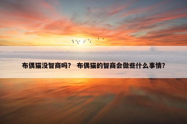 布偶猫没智商吗？ 布偶猫的智商会做些什么事情？