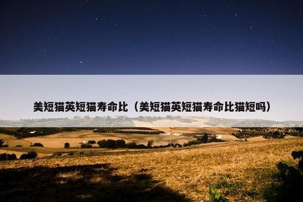美短猫英短猫寿命比（美短猫英短猫寿命比猫短吗）