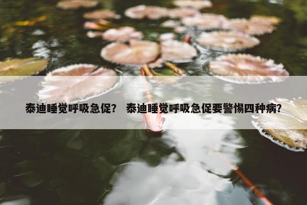 泰迪睡觉呼吸急促？ 泰迪睡觉呼吸急促要警惕四种病？