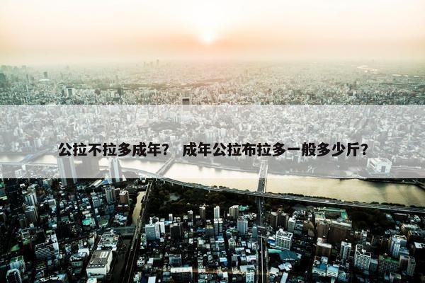 公拉不拉多成年？ 成年公拉布拉多一般多少斤？
