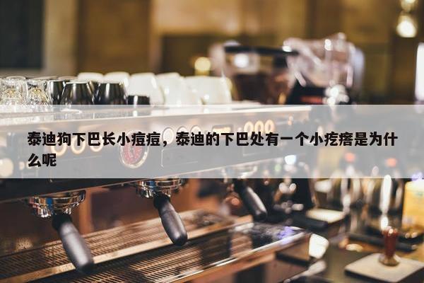 泰迪狗下巴长小痘痘，泰迪的下巴处有一个小疙瘩是为什么呢