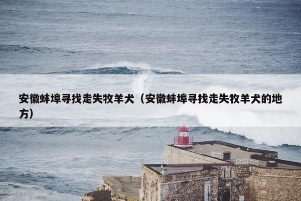 安徽蚌埠寻找走失牧羊犬（安徽蚌埠寻找走失牧羊犬的地方）
