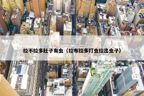 拉不拉多肚子有虫（拉布拉多打虫拉出虫子）