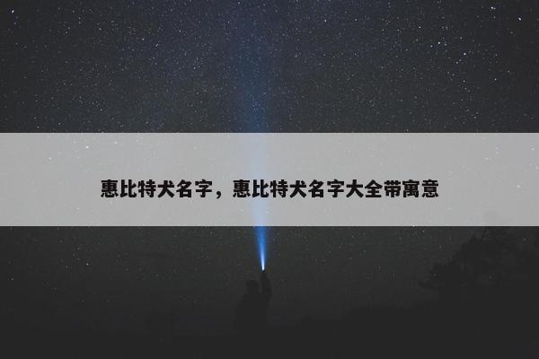 惠比特犬名字，惠比特犬名字大全带寓意