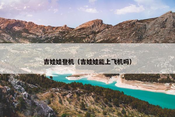 吉娃娃登机（吉娃娃能上飞机吗）