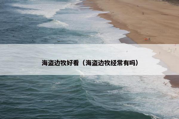 海盗边牧好看（海盗边牧经常有吗）