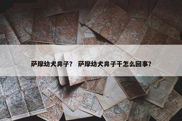 萨摩幼犬鼻子？ 萨摩幼犬鼻子干怎么回事？
