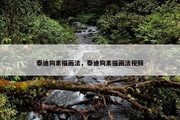 泰迪狗素描画法，泰迪狗素描画法视频