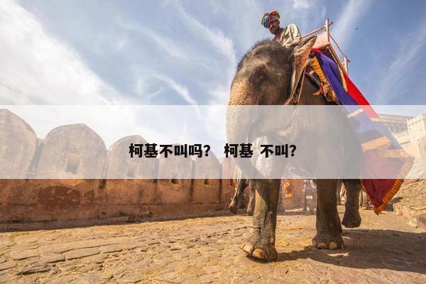 柯基不叫吗？ 柯基 不叫？