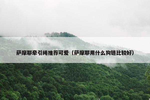萨摩耶牵引绳推荐可爱（萨摩耶用什么狗链比较好）