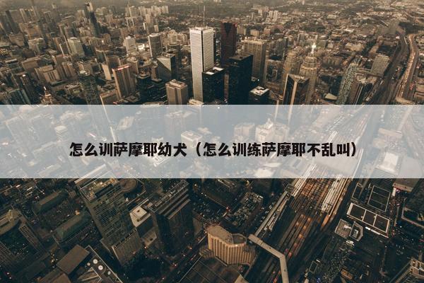 怎么训萨摩耶幼犬（怎么训练萨摩耶不乱叫）