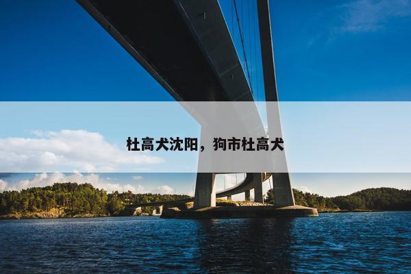 杜高犬沈阳，狗市杜高犬