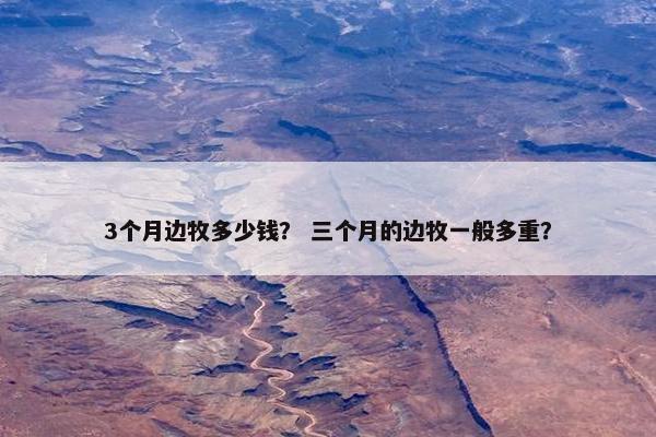 3个月边牧多少钱？ 三个月的边牧一般多重？
