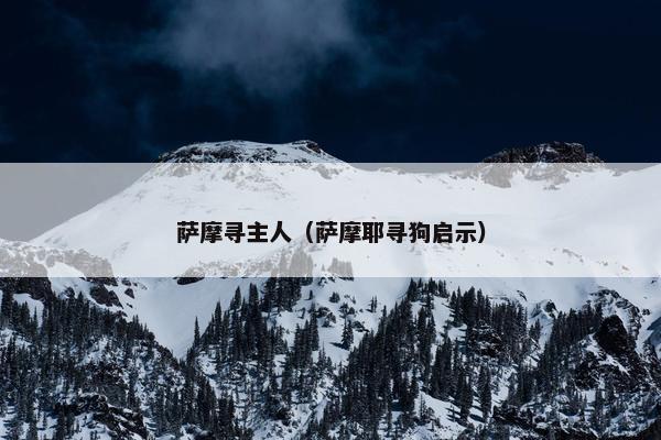 萨摩寻主人（萨摩耶寻狗启示）