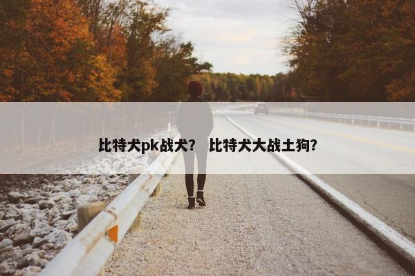 比特犬pk战犬？ 比特犬大战土狗？