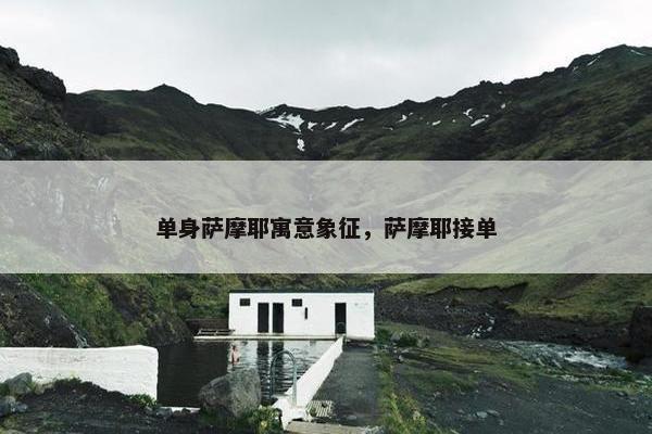 单身萨摩耶寓意象征，萨摩耶接单