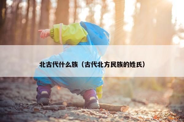 北古代什么族（古代北方民族的姓氏）