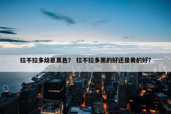 拉不拉多幼崽黑色？ 拉不拉多黑的好还是黄的好？