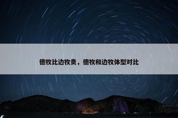 德牧比边牧贵，德牧和边牧体型对比