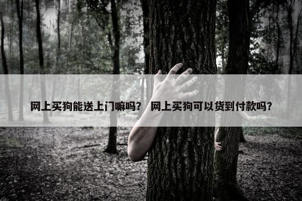 网上买狗能送上门嘛吗？ 网上买狗可以货到付款吗？