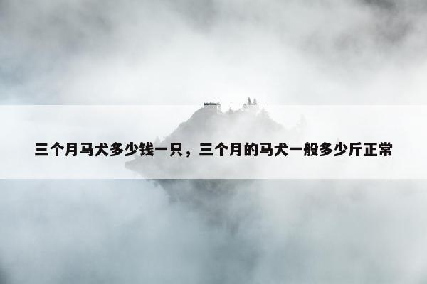 三个月马犬多少钱一只，三个月的马犬一般多少斤正常