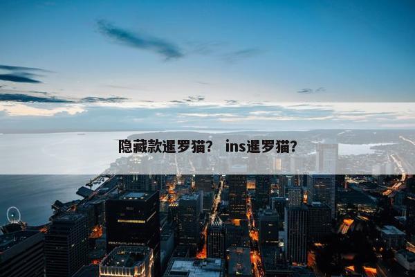 隐藏款暹罗猫？ ins暹罗猫？