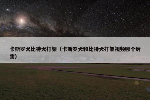 卡斯罗犬比特犬打架（卡斯罗犬和比特犬打架视频哪个厉害）