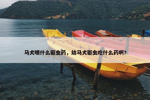 马犬喂什么驱虫药，幼马犬驱虫吃什么药啊?