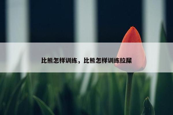 比熊怎样训练，比熊怎样训练拉屎