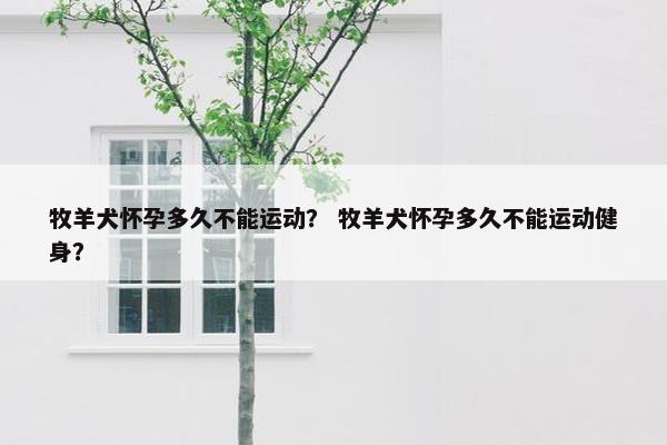 牧羊犬怀孕多久不能运动？ 牧羊犬怀孕多久不能运动健身？