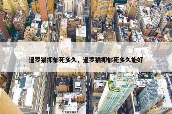 暹罗猫抑郁死多久，暹罗猫抑郁死多久能好