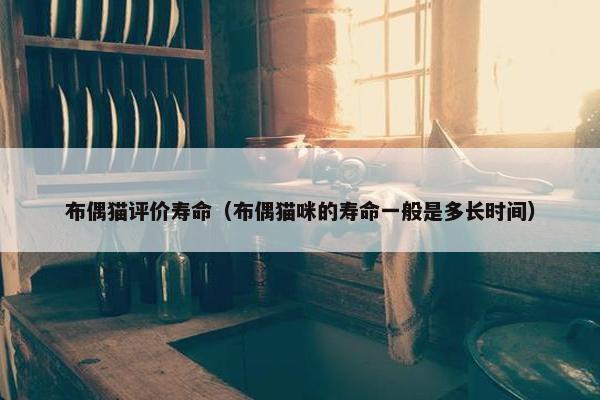 布偶猫评价寿命（布偶猫咪的寿命一般是多长时间）
