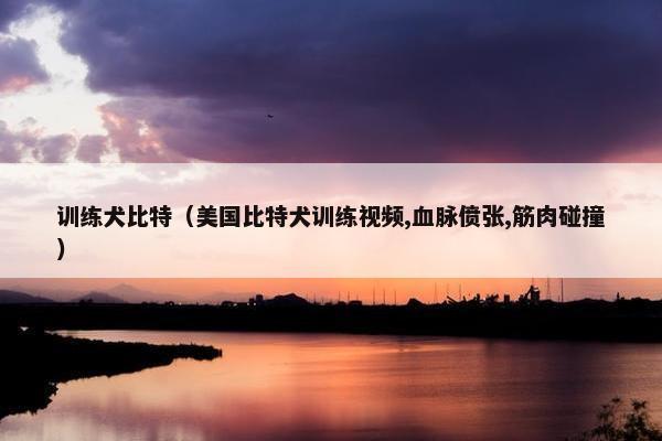 训练犬比特（美国比特犬训练视频,血脉偾张,筋肉碰撞）