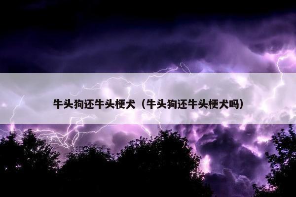 牛头狗还牛头梗犬（牛头狗还牛头梗犬吗）