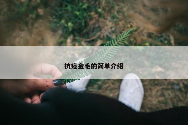 抗疫金毛的简单介绍