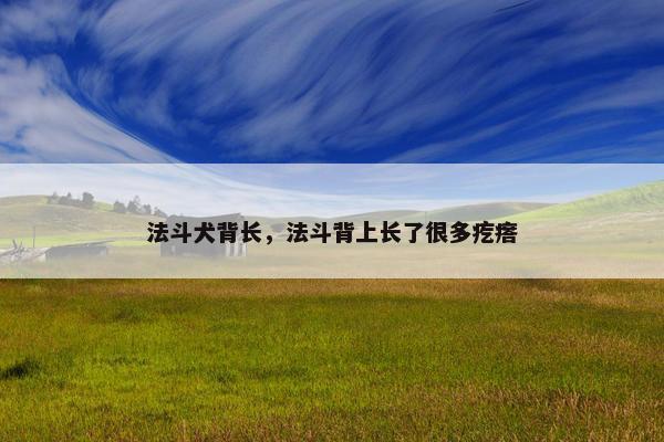 法斗犬背长，法斗背上长了很多疙瘩