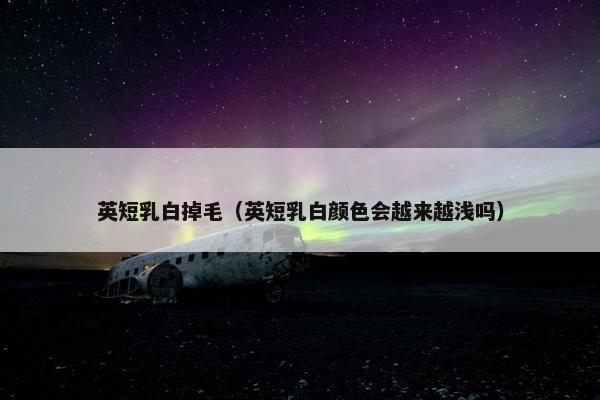 英短乳白掉毛（英短乳白颜色会越来越浅吗）