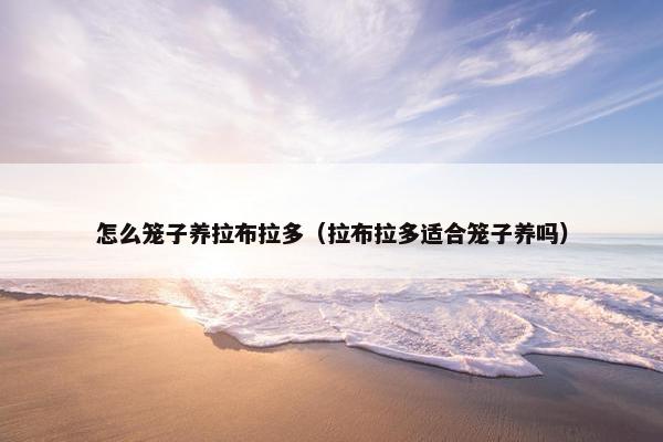 怎么笼子养拉布拉多（拉布拉多适合笼子养吗）