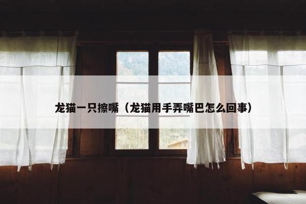 龙猫一只擦嘴（龙猫用手弄嘴巴怎么回事）