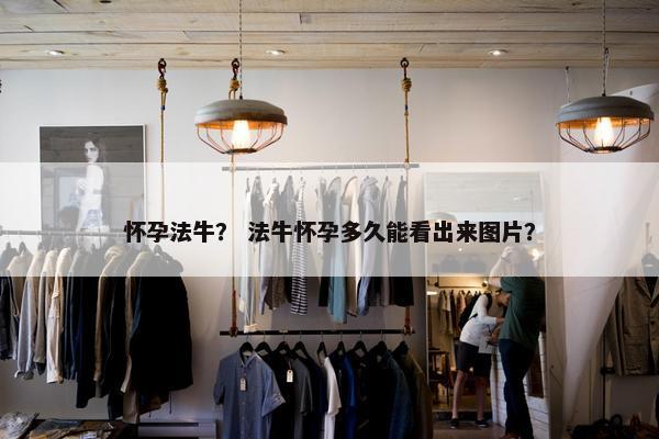 怀孕法牛？ 法牛怀孕多久能看出来图片？