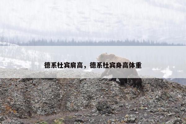 德系杜宾肩高，德系杜宾身高体重