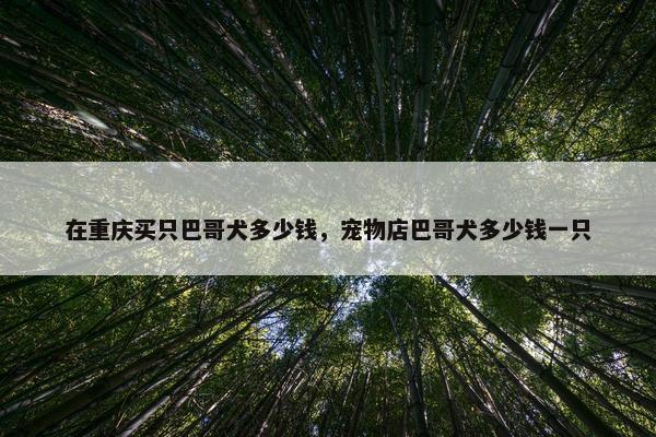 在重庆买只巴哥犬多少钱，宠物店巴哥犬多少钱一只