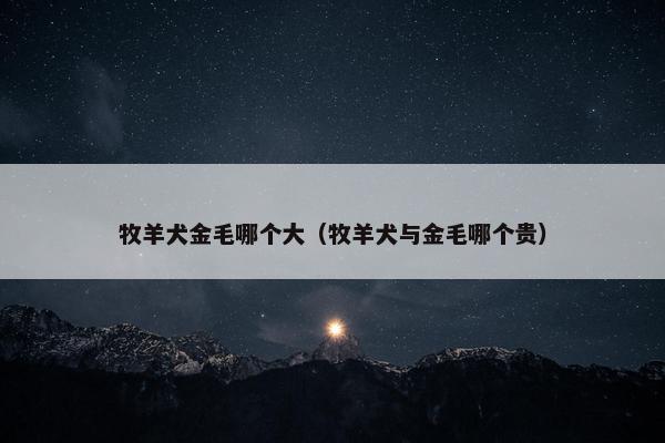 牧羊犬金毛哪个大（牧羊犬与金毛哪个贵）