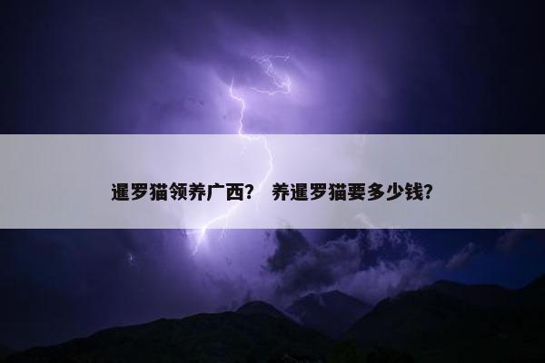 暹罗猫领养广西？ 养暹罗猫要多少钱？