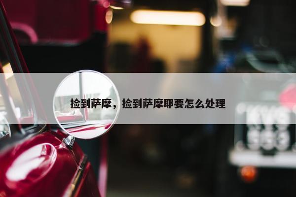 捡到萨摩，捡到萨摩耶要怎么处理